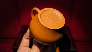 Weng Xing 翁形, 115ml, Gu Fa Lian Ni (Most Archaic Clay Forming) ~ Zhu Ni *古法练泥~本山朱泥, L4 Assoc Master Du Cheng Yao 堵程尧。