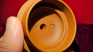 Yu Li 玉笠, 202.5ml, Gu Fa Lian Ni (Most Archaic Clay Forming) ~ Zhu Sha *古法练泥~朱砂, L4 Assoc Master Du Cheng Yao 堵程尧。