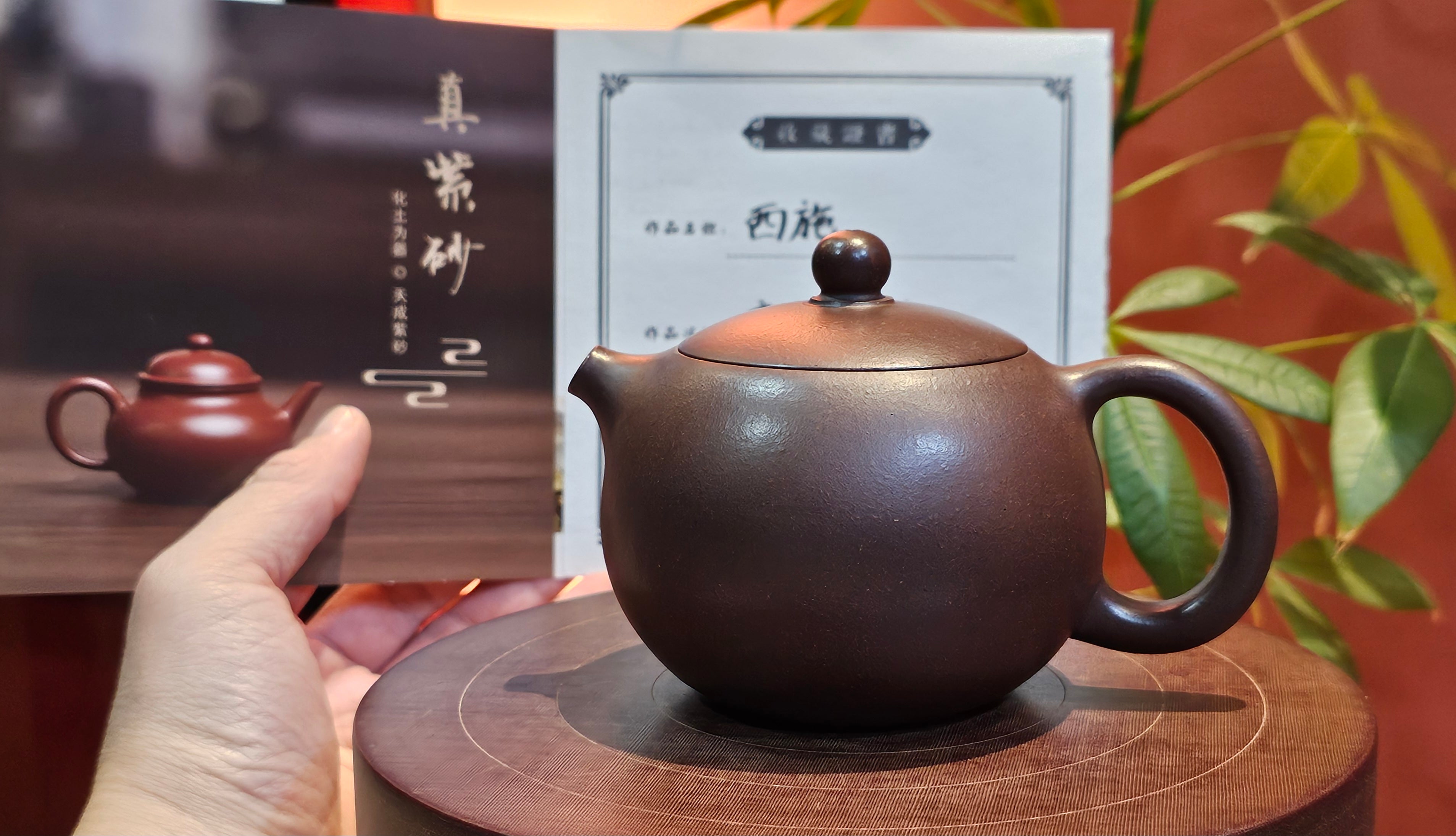 Largish Xi Shi! 西施, 233.5ml!  First of its kind by Craftsman Gu Xiao Ming 顾小明: 233.5ml, Di Cao Qing Zi Ni 底槽青紫泥。