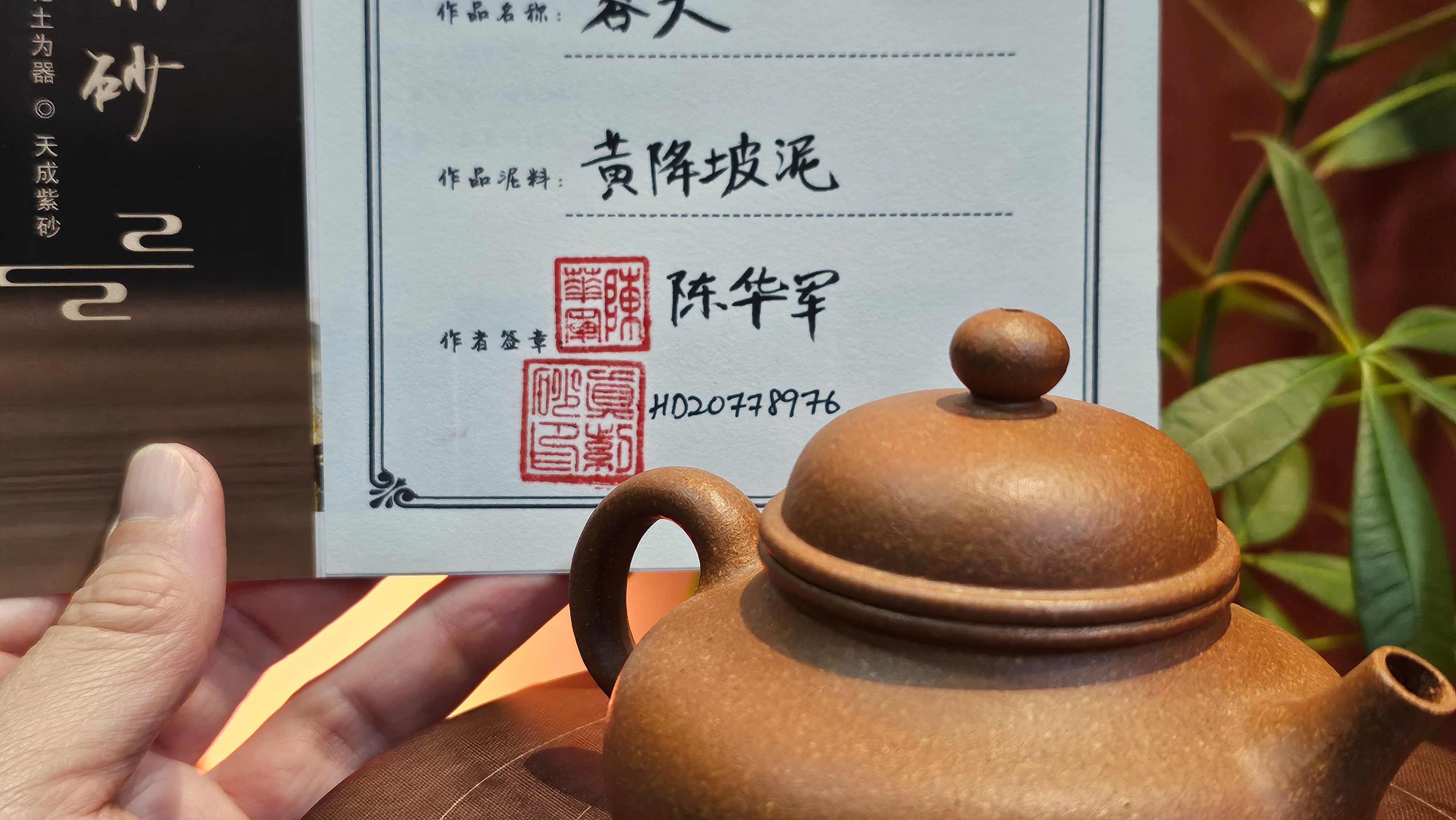 Rong Tian 容天, 171.5ml, Huang Jiang Po Ni 黄降坡泥, by our Collaborative Craftsman Chen Hua Jun 陈华军。