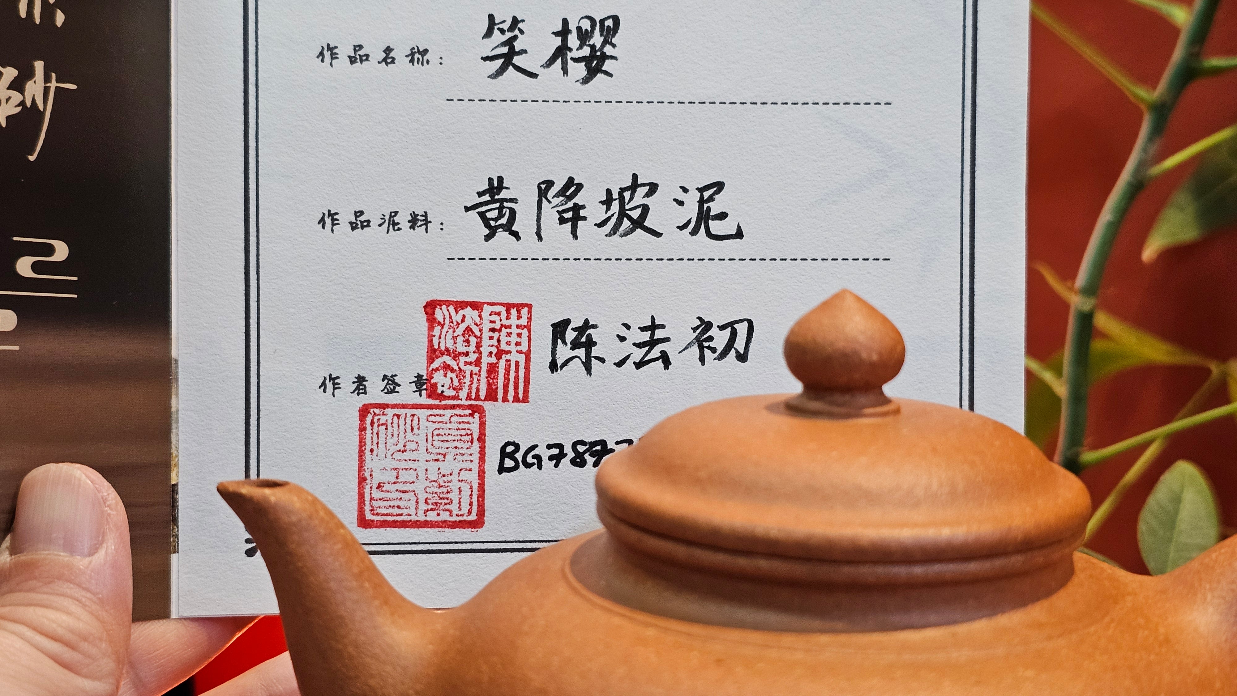 Xiao Ying 笑樱, 273.9ml, Huang Jiang Po Ni 黄降坡泥, by our Collaborative Craftsman Chen Fa Chu 陈法初。