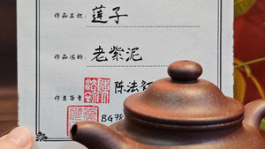 Lian Zi 莲子, 188.0ml, Lao Zi Ni 老紫泥 (Particular High Graininess, and Low Sieve Count), by Craftsman Chen Fa Chu 陈法初。