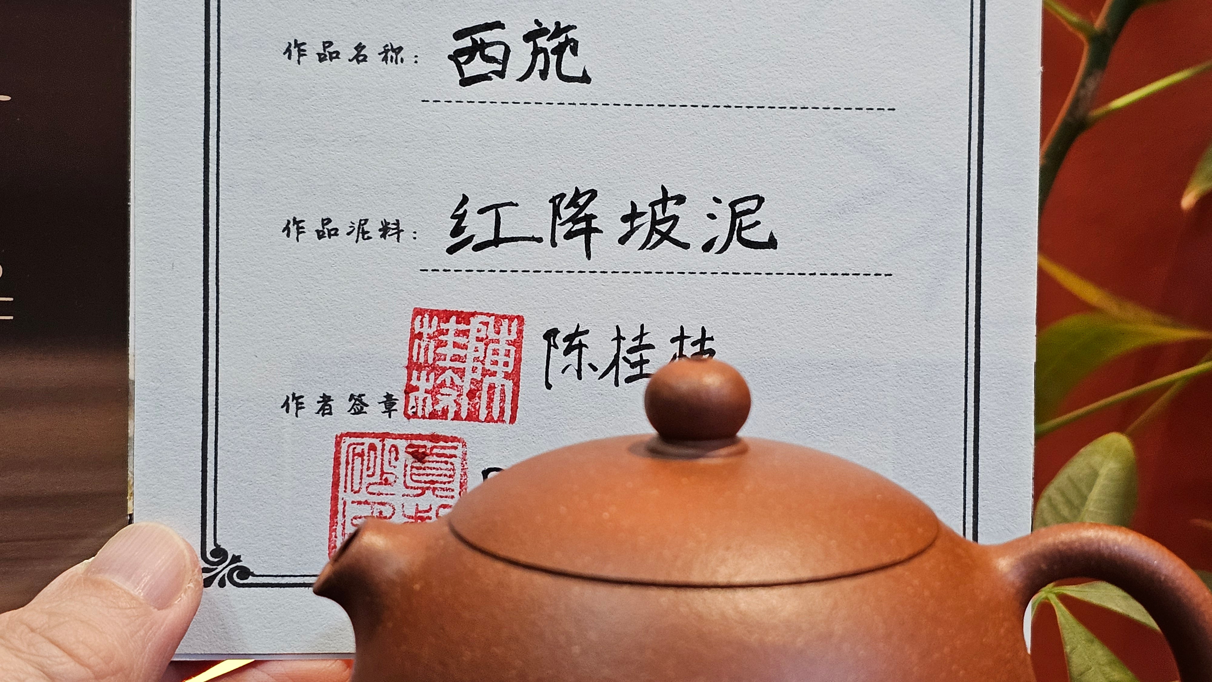 Xi Shi 西施 (with Na Di 纳底 base), 193.9ml, Hong Jiang Po Ni (rarer form of Jiang Po Ni) 红降坡泥, by our Collaborative Craftsman Chen Gui Zhi 陈桂枝。