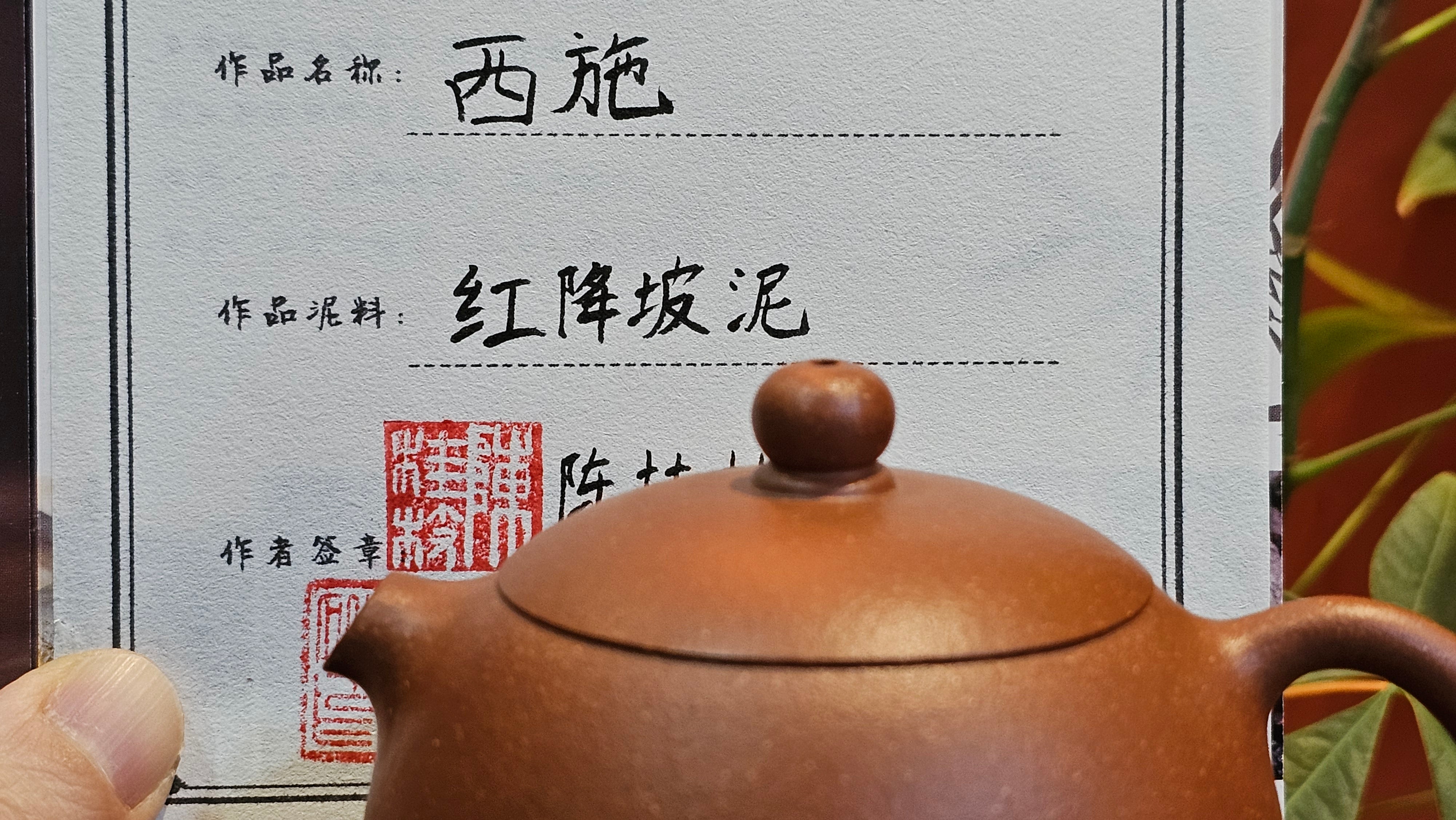 Xi Shi 西施 (with Na Di 纳底 base), 191.6ml, Hong Jiang Po Ni (rarer form of Jiang Po Ni) 红降坡泥, by our Collaborative Craftsman Chen Gui Zhi 陈桂枝。