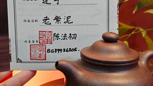 Lian Zi 莲子, 184.3ml, Lao Zi Ni 老紫泥 (Particular High Graininess, and Low Sieve Count), by Craftsman Chen Fa Chu 陈法初。