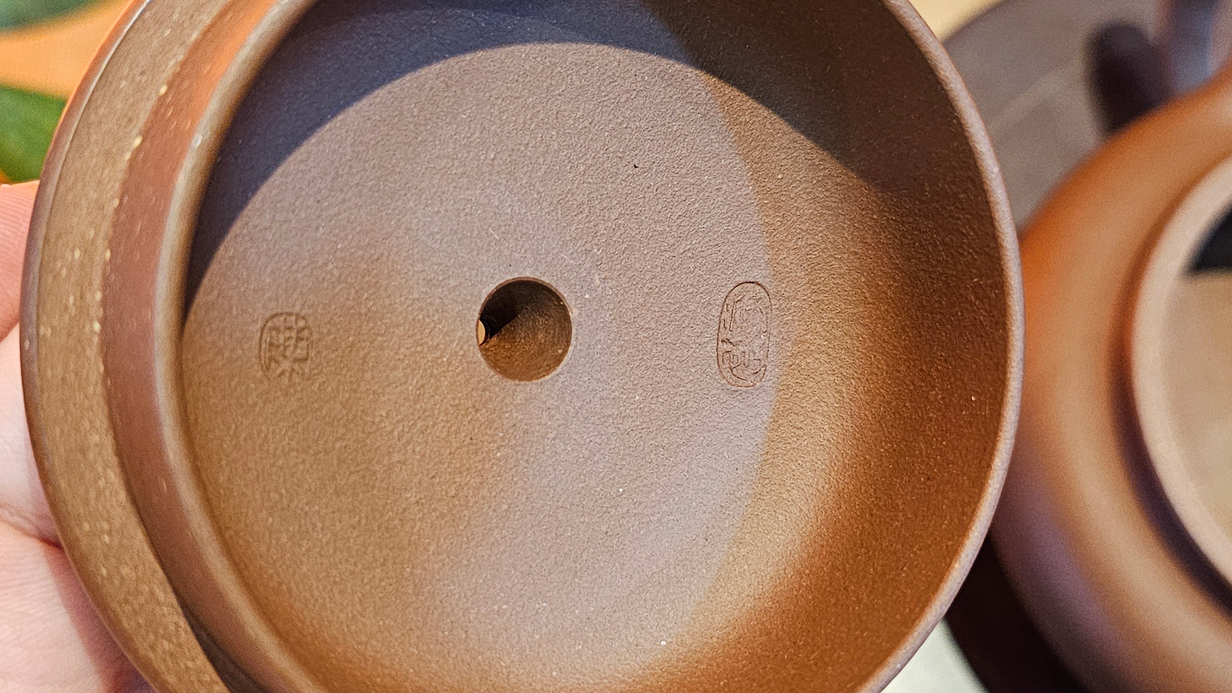 Bian Fu 扁腹, 269.1ml, Di Cao Qing Zi Ni 底槽青紫泥, by our Collaborative Craftsman Chen Fa Chu 陈法初。