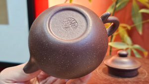 Lian Zi 莲子, 189.1ml, Lao Zi Ni 老紫泥 (Particular High Graininess, and Low Sieve Count), by Craftsman Chen Fa Chu 陈法初。